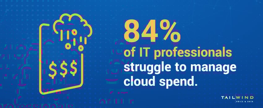 84% of IT professionals struggle to manage cloud spend.