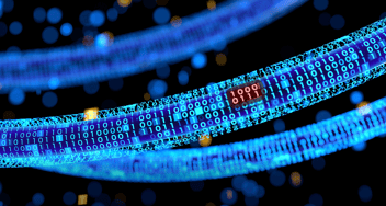 Fiber Loss: Understanding What It Is & How To Calculate It