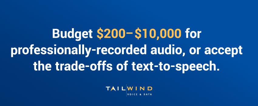 Budget $200–$10,000 for professionally-recorded audio, or accept the trade-offs of text-to-speech.
