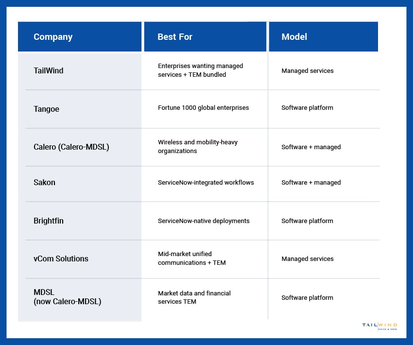 A table comparing the top TEM companies based on what they're best for and the service model they offer.